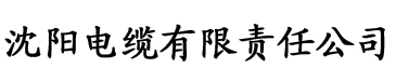 91网址进入ios电缆厂logo